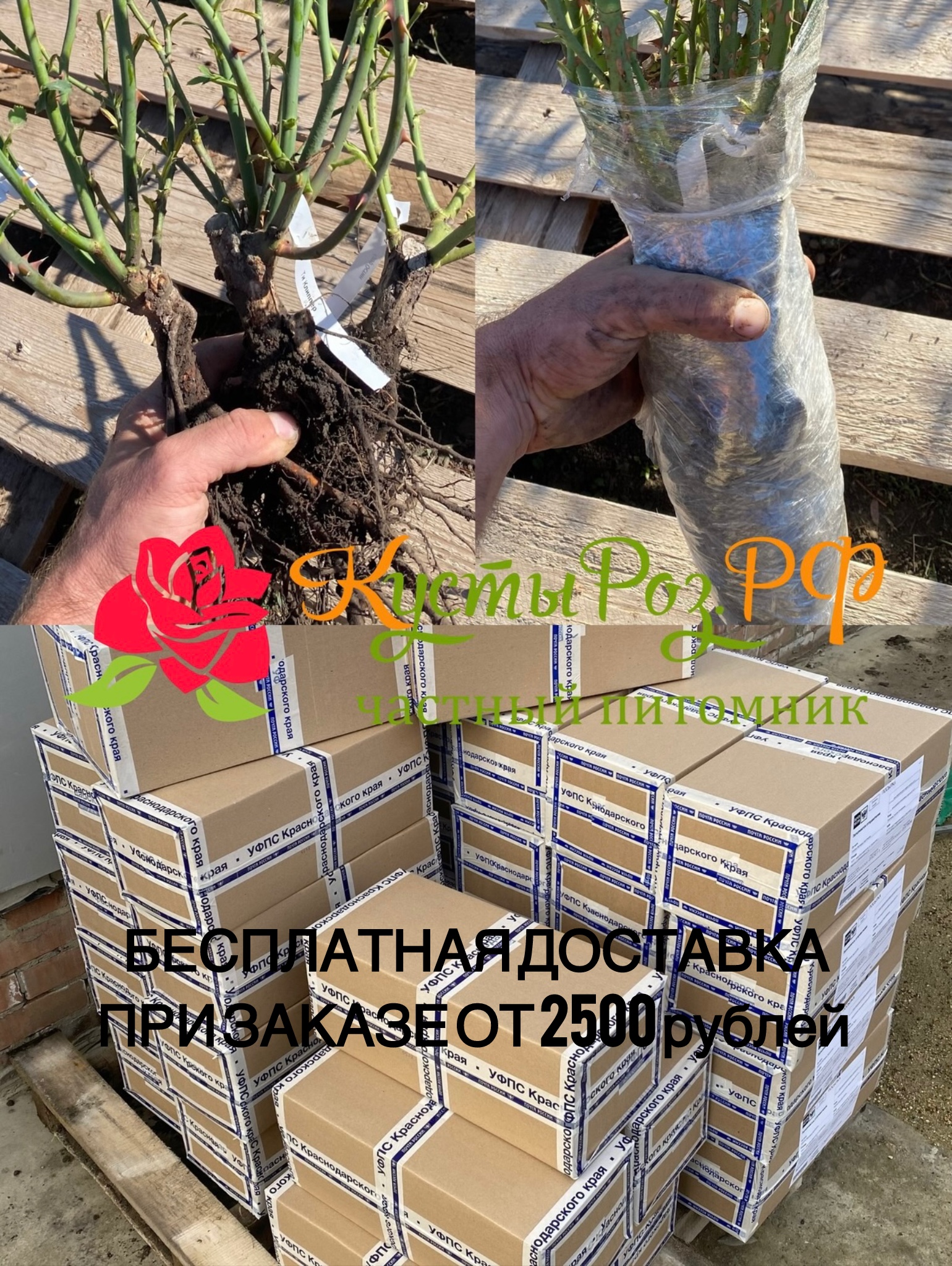 БЕСПЛАТНАЯ ДОСТАВКА ПРИ ЗАКАЗЕ ОТ 2500 РУБ